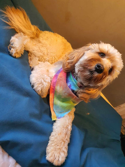 Rainbow Bandana